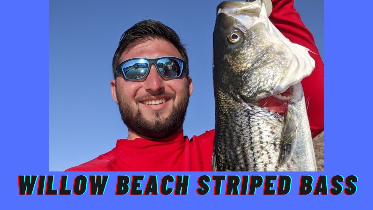 How 23 hours of fishing paid off (Willow Beach)
