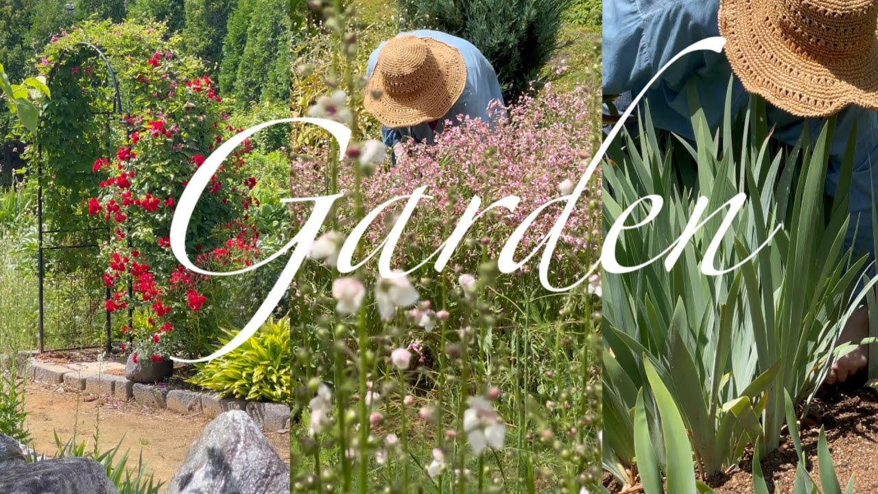 [Garden] 온갖 컬러의 여름꽃 피어나는 정원, 장마 오기 전 챙길 가드닝은? | 꽃, 식물 추천