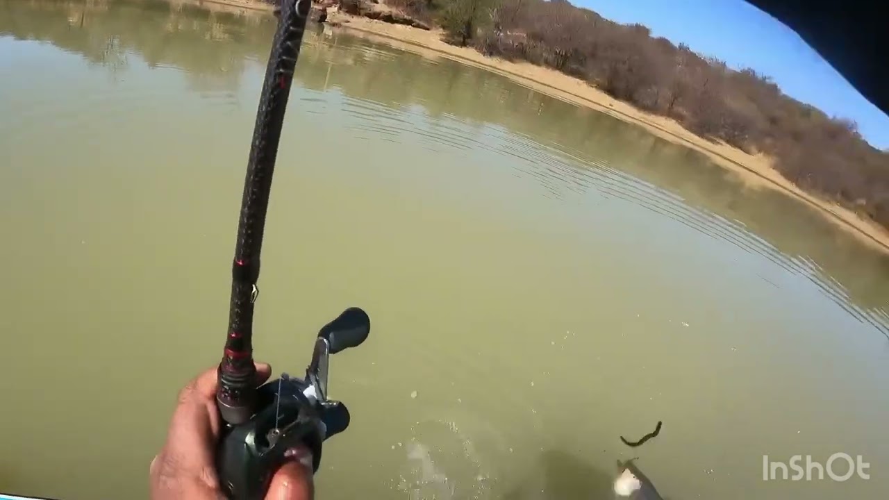 Winter Bass Fishing on Spionkop
