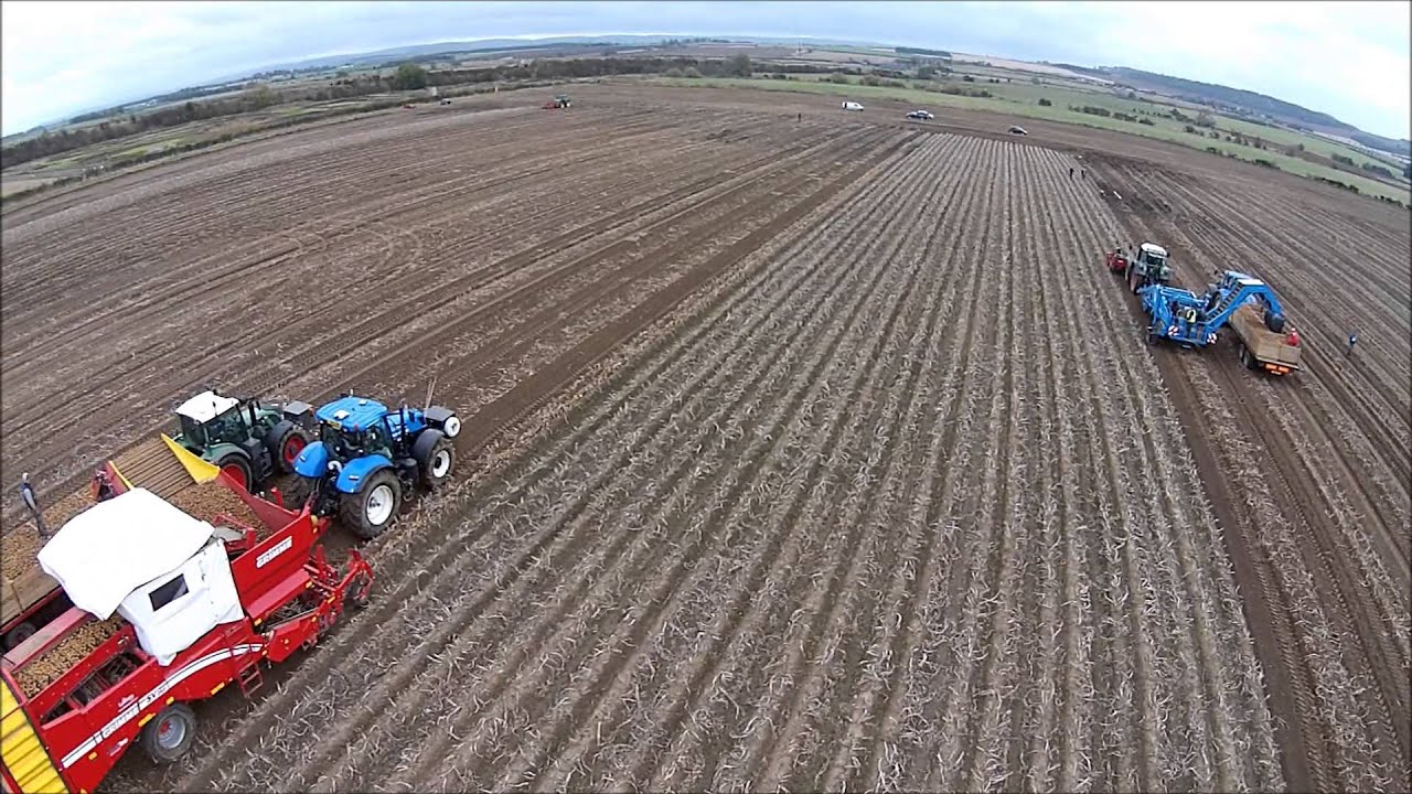 UK potato harvest '14 with Tolmac front harvesters
