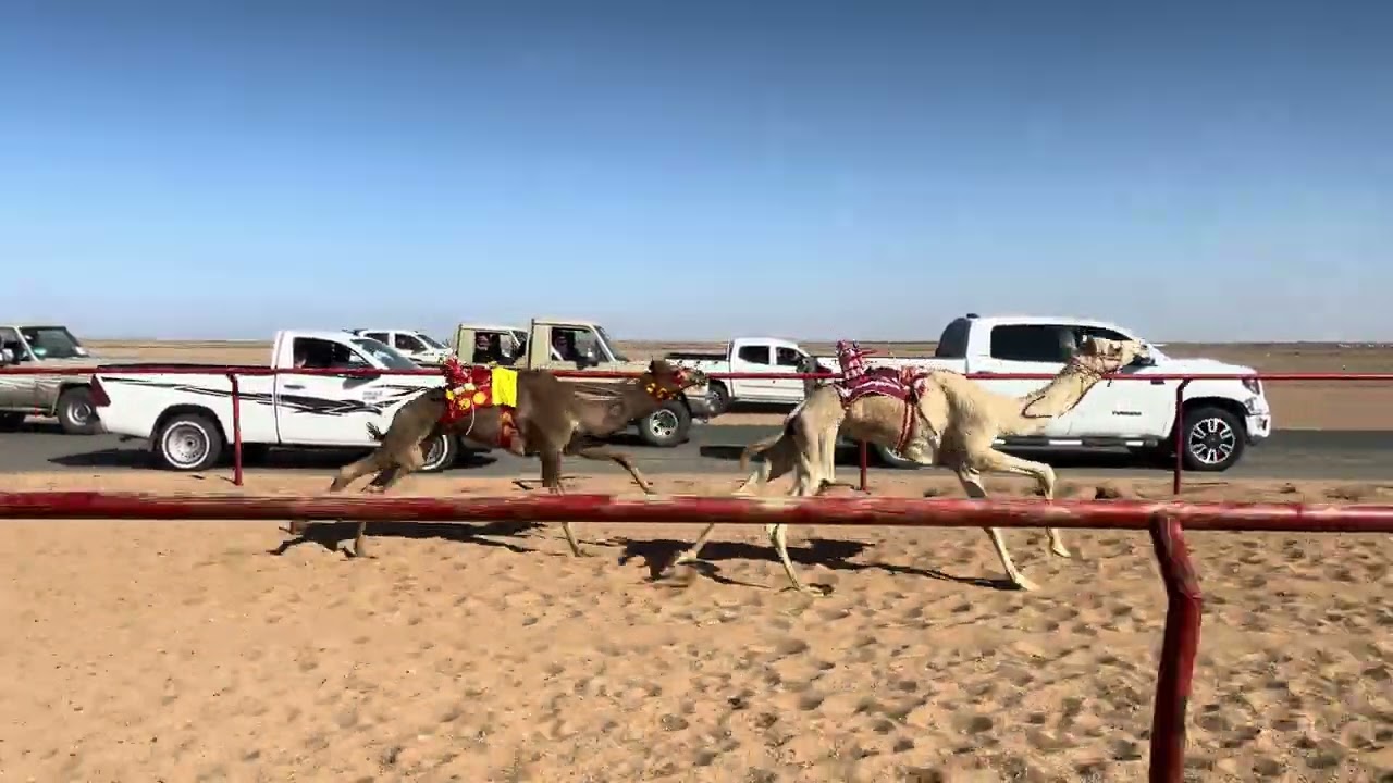 ش 2 رئيسي قعدان المتحد ل عبدالله حمد حثلين الحربي 