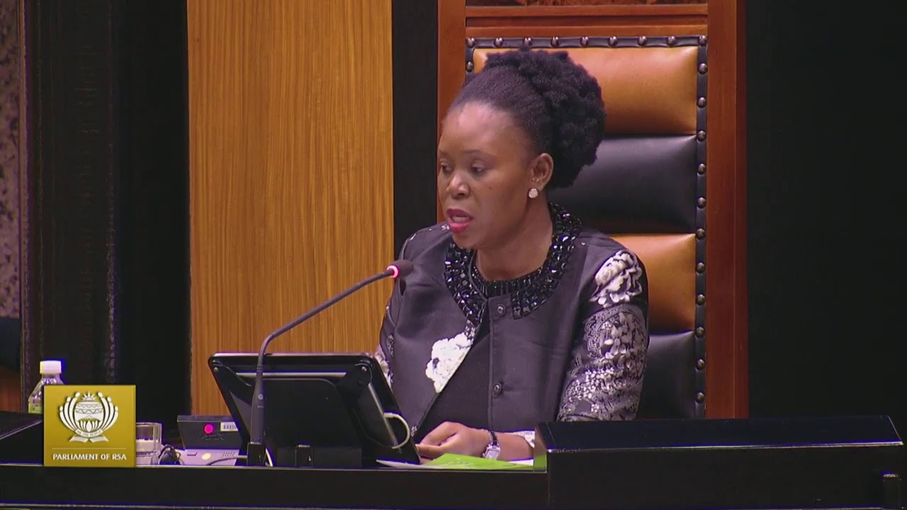 Debate on Vote 6: International Relations and Cooperation (NA Chamber), 11 July 2019