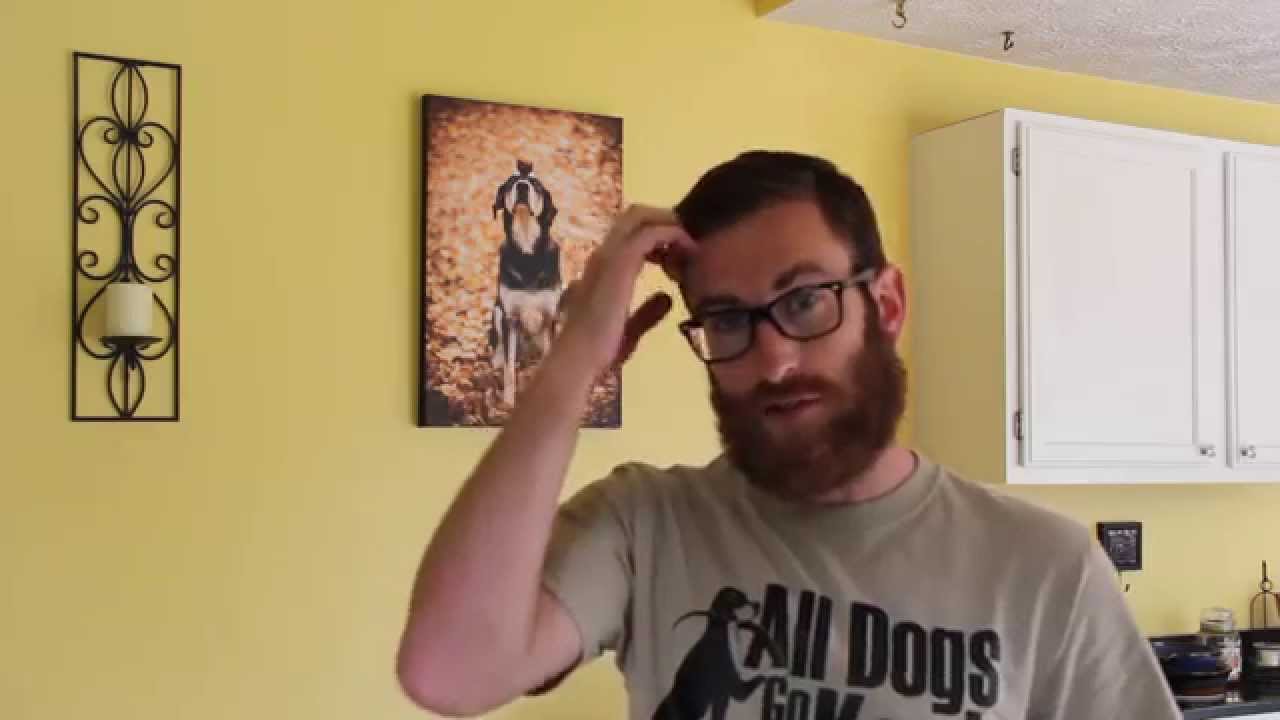 How Do I Get My Dog To Stop Begging?