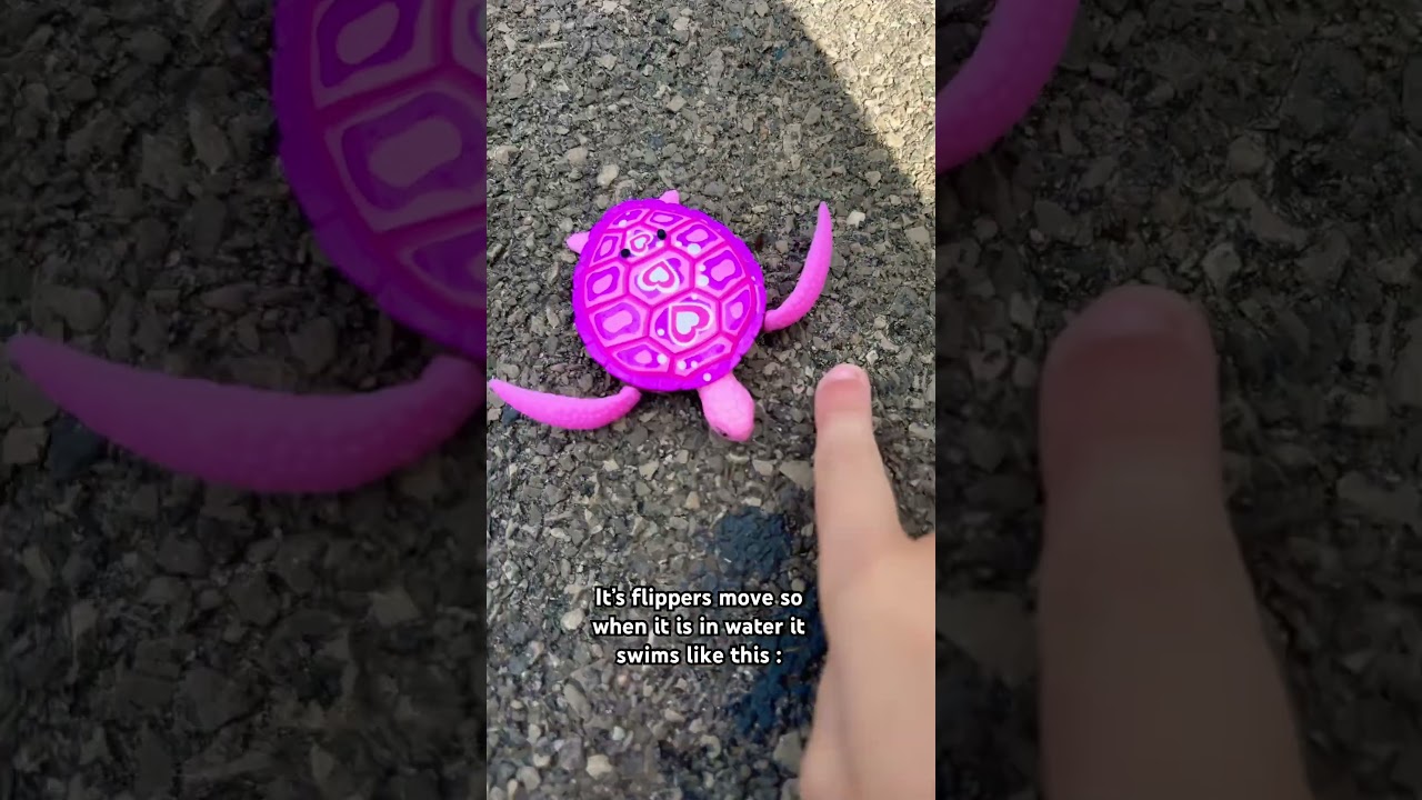 Robo turtle by Zuru