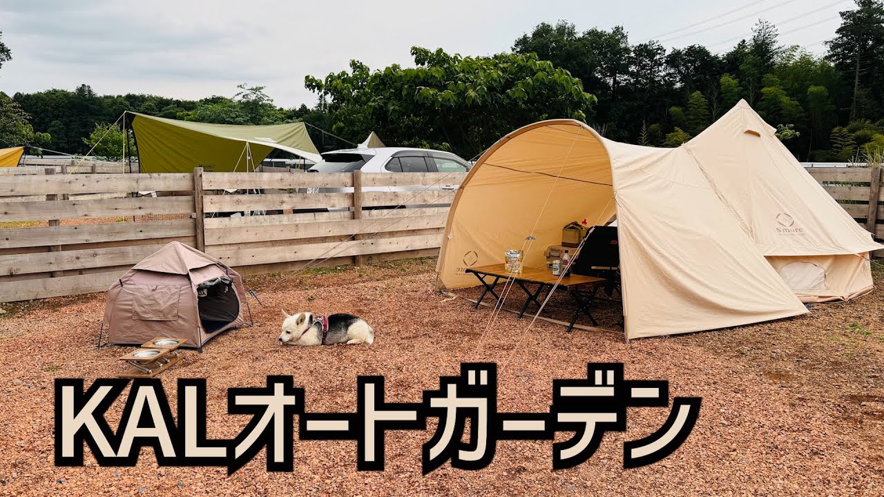 【KALオートガーデン】広々きれいなドッグフリーサイトが一泊999円〜？！破格のプランが神すぎるわんこフレンドリーなキャンプ場