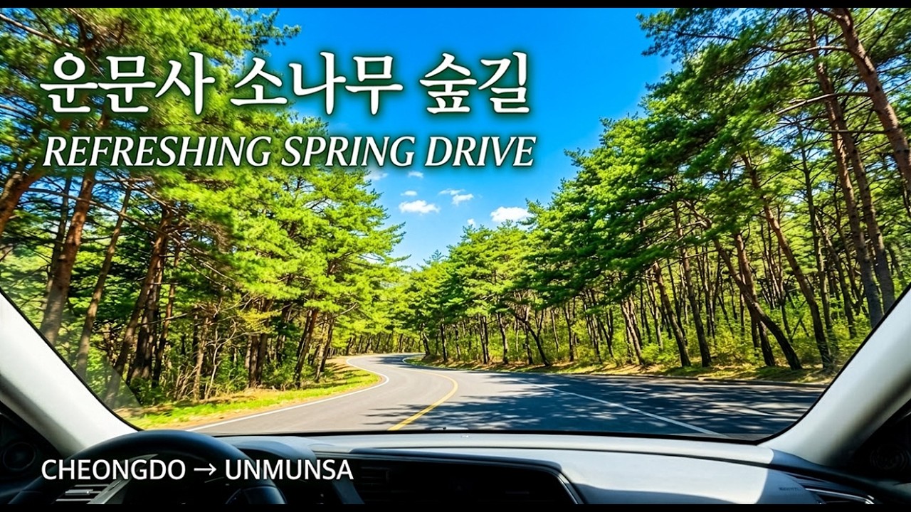 Refreshing Spring Drive to Unmunsa Temple | Deep Blue Sky & Pine Forest Jazz POV 🎷☀️🌲