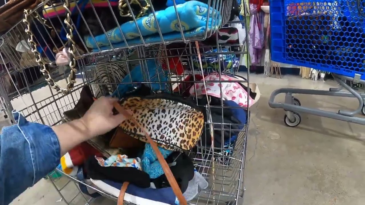 Huge Goodwill haul!!!  Lots of valuable items!!