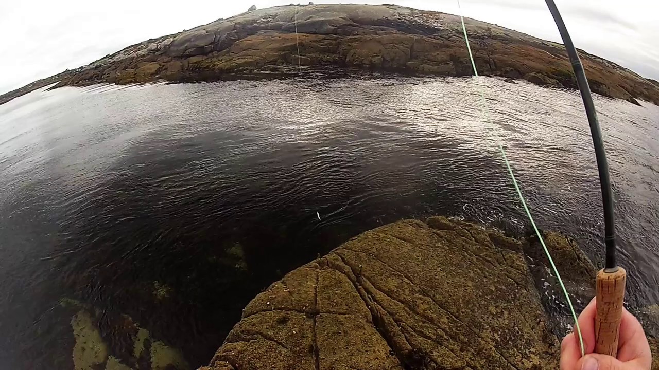 Drifting flies on the surface for Pollock - Saltwater fly fishing