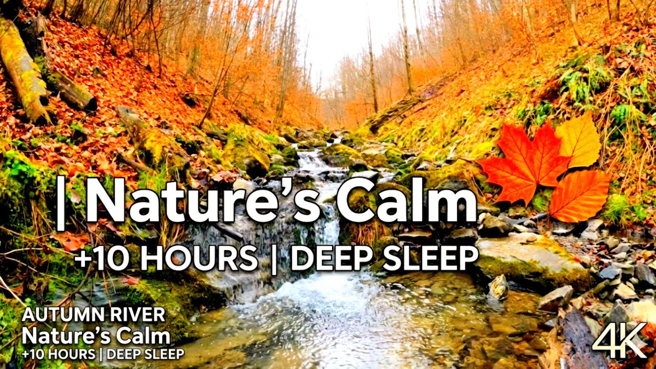 Autumn River Sounds 🍂 Flowing Water in Fall Forest for Sleep & Relaxation (+10 Hours) 