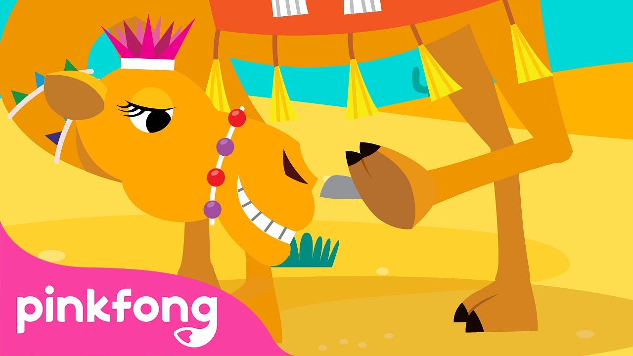 Kamel🐪 | Tierlieder | Kinderlieder von Baby-Hai | Baby Shark Deutsch | Pinkfong Kinderlieder