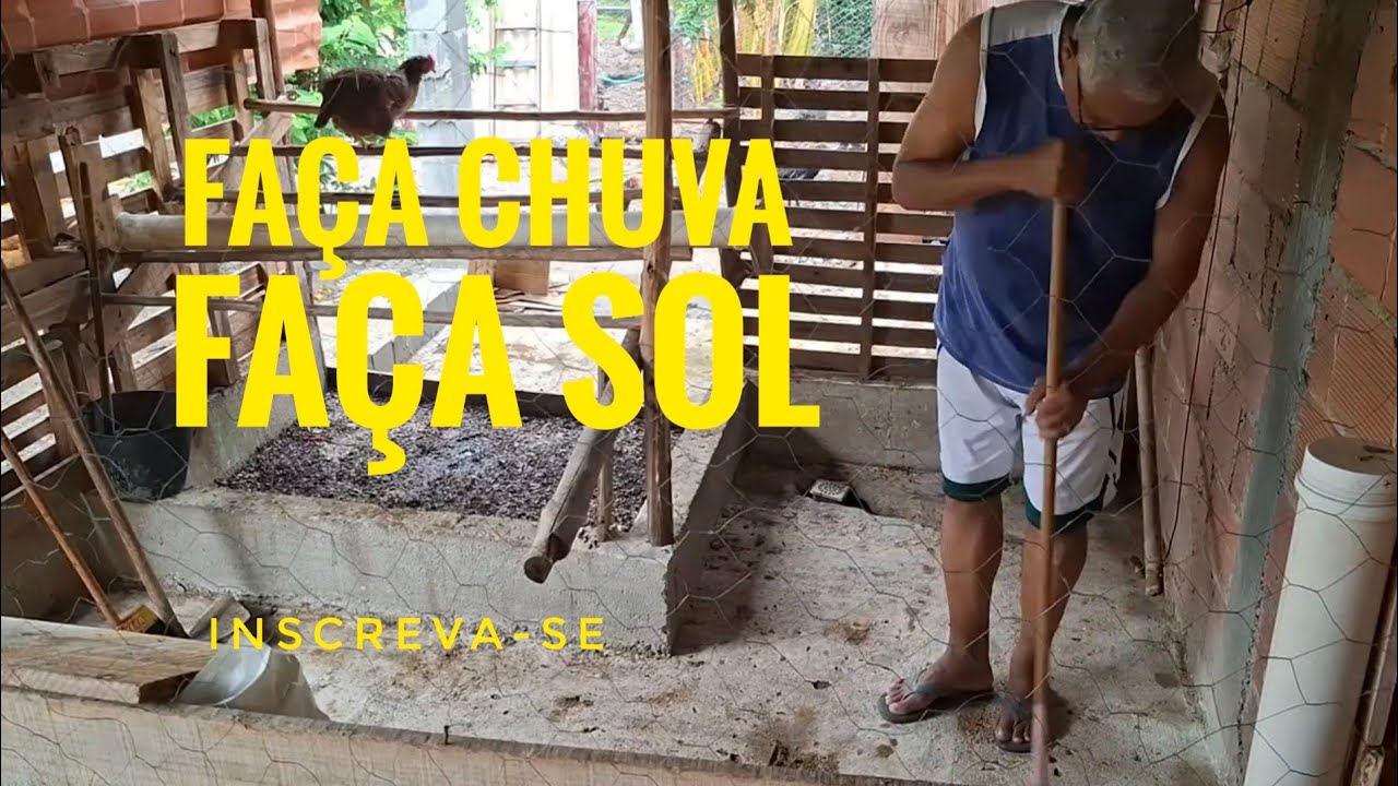 Com Sol ou Chuva, os Cuidados com os Animais Não Param 🐾🌦️