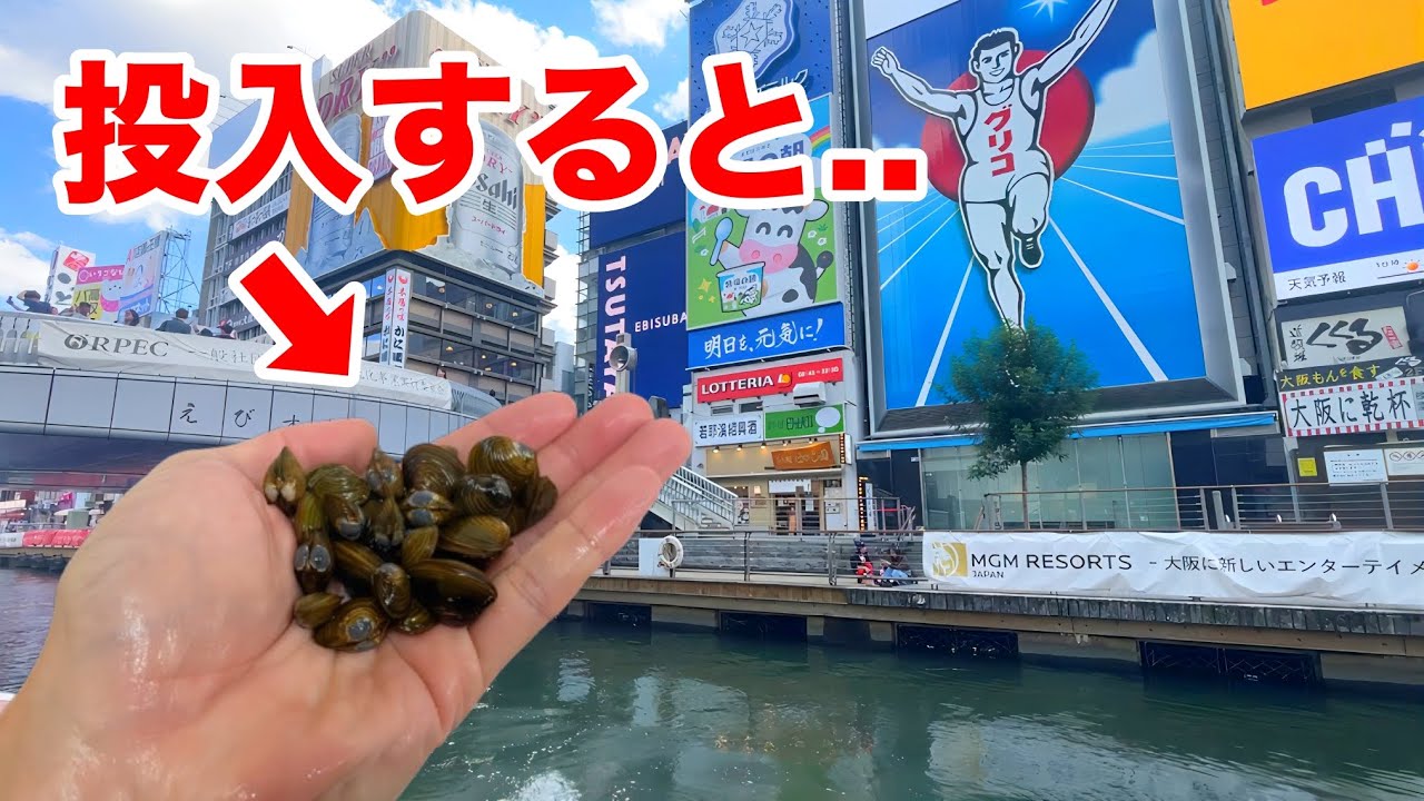 道頓堀川の水をシジミで濾過してみるとヤバかった...
