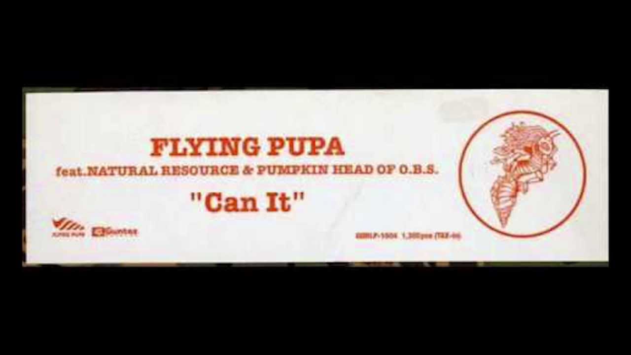 Flying Pupa feat. Natural Resource & Pumpkinhed - Can It