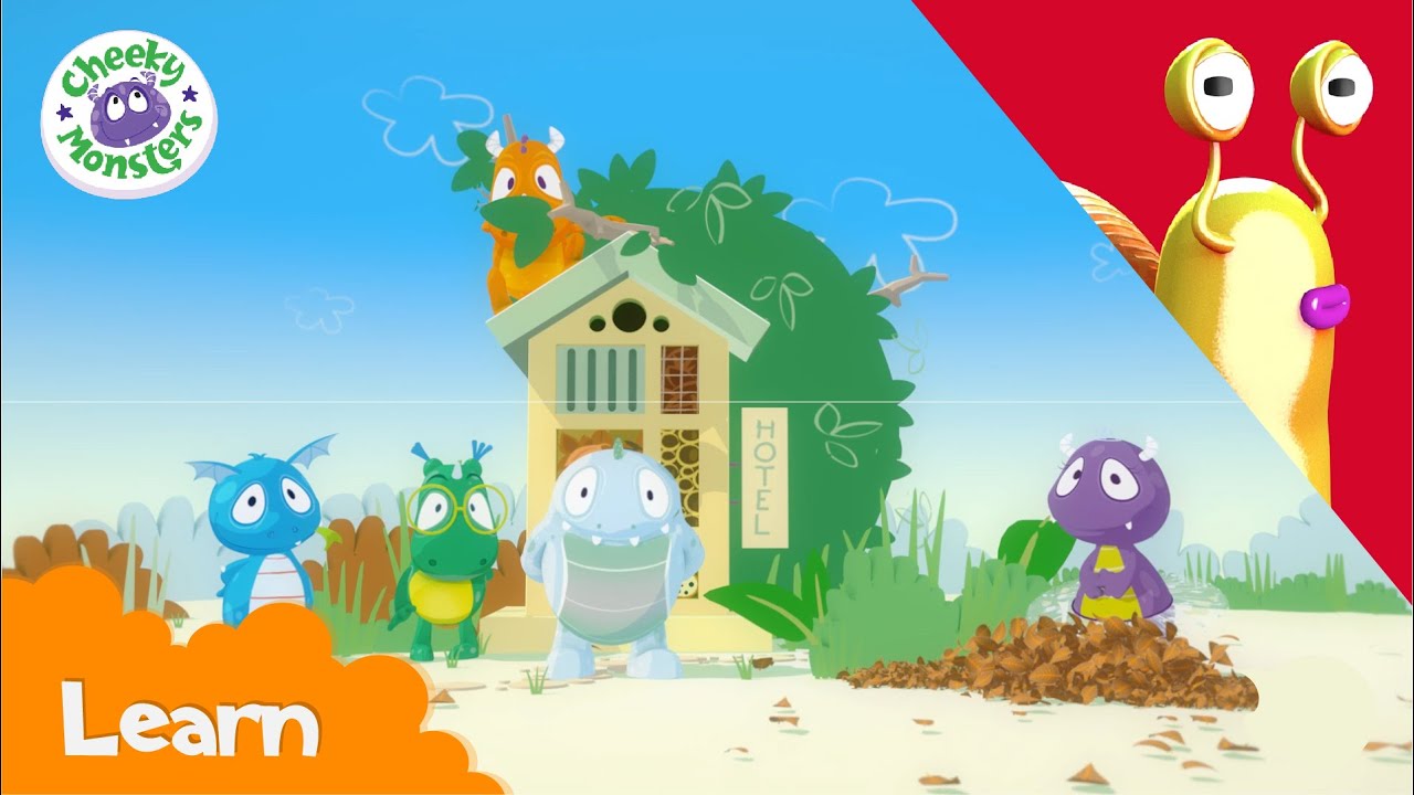 Who's at the Bug Hotel? | Kids Learn | Creepy Crawlies