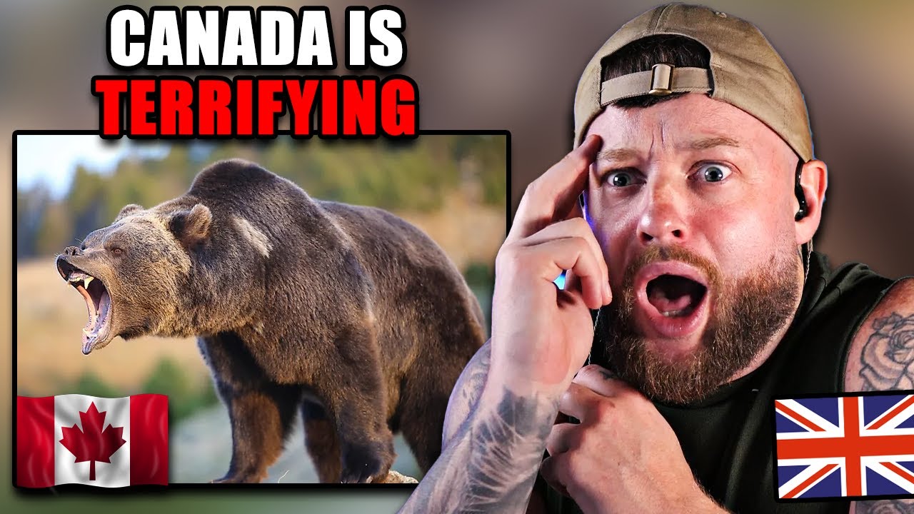 SHOCKED BRIT Reacts to 