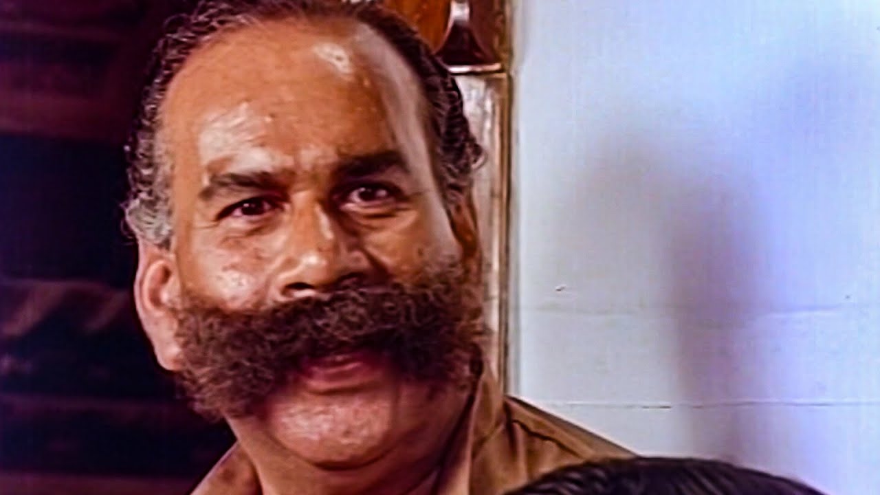 മേയാൻ വിട്ടിരിക്കുവാ , ഉച്ചക്ക് വെള്ളം കുടിക്കാനേ🤣😂| Malayalam Comedy | Meesa Vasu Comedy | Innocent