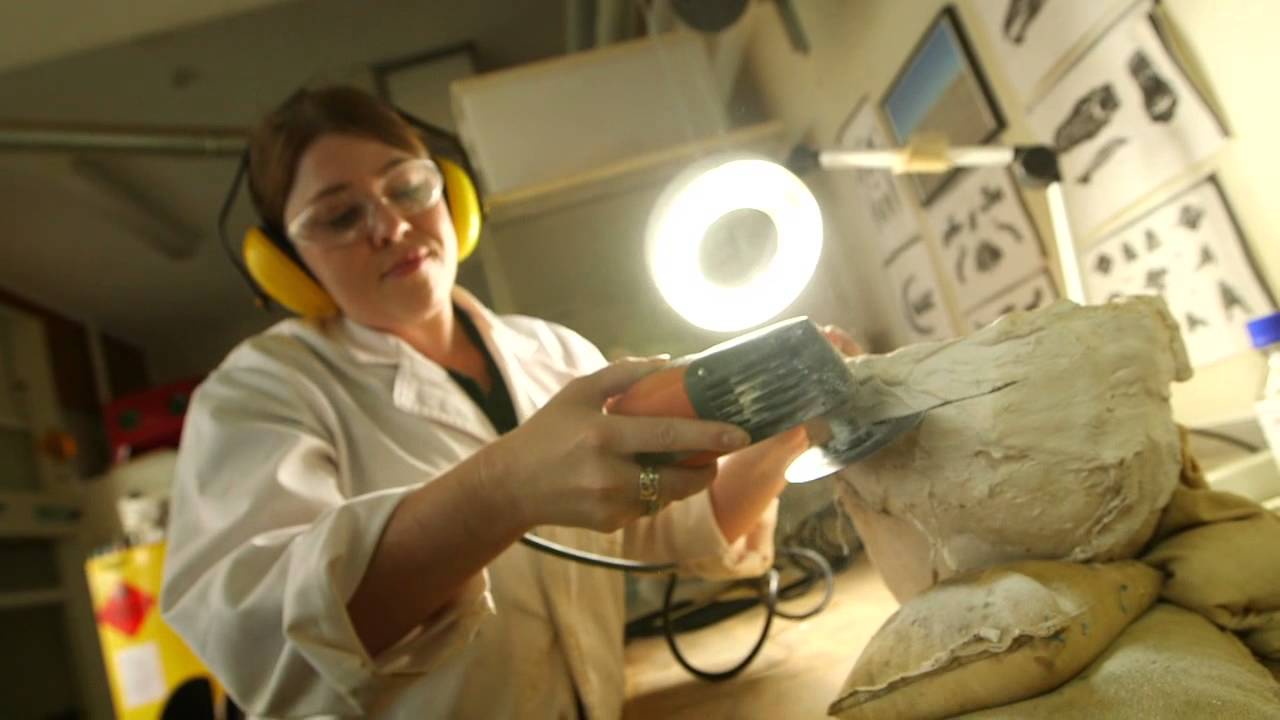 Palaeontology research in the field and in the lab
