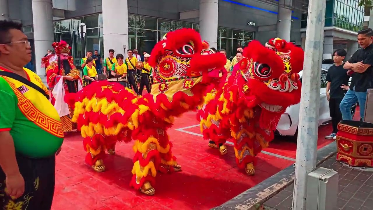 The Spirit of the Lion: A Timeless Dance