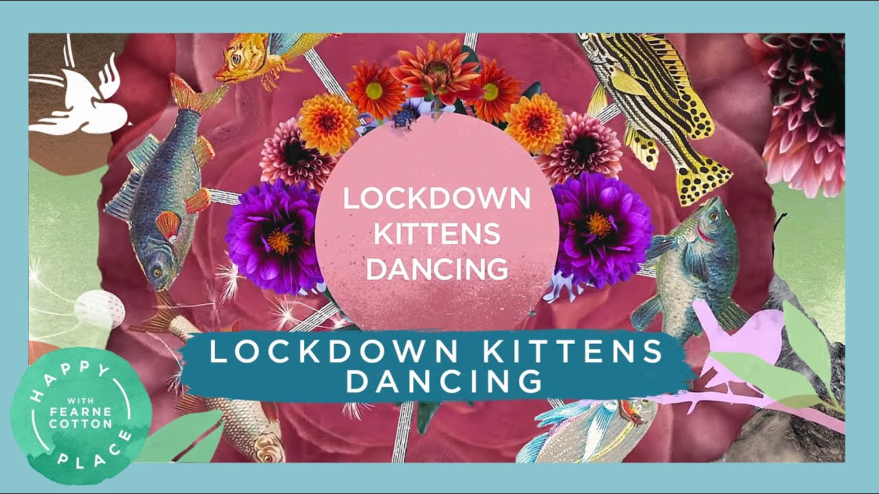 Lockdown Kittens Dancing | Happy Place Album | Fearne Cotton’s Happy Place