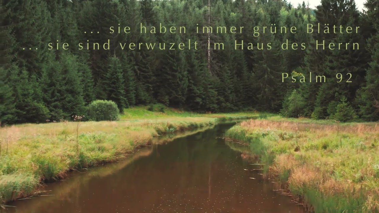 Lobpreis mit der Bibel - Psalm 92 - Immergrün (Ausschnitt)
