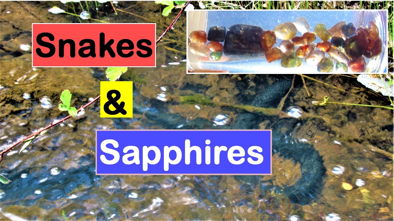 Snakes and Sapphires | Liz Kreate