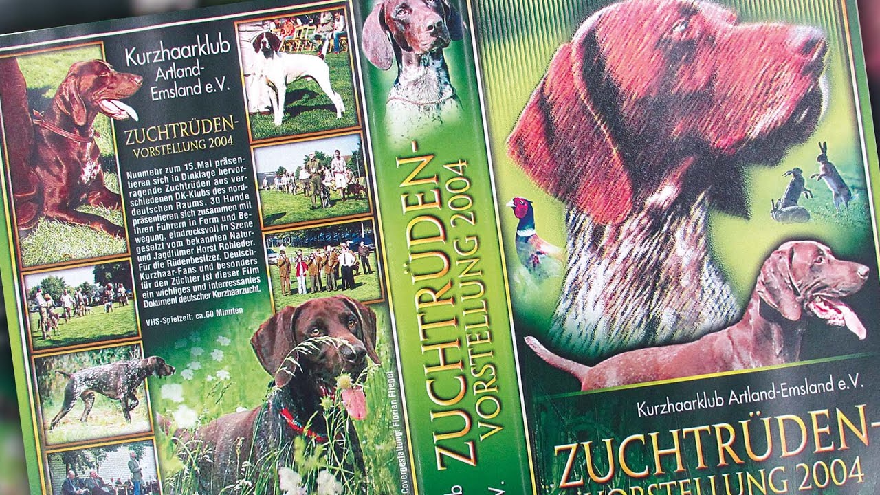 Deutsch Kurzhaar Zuchtrüdenvorstellung Kurzhaarklub Artland-Emsland