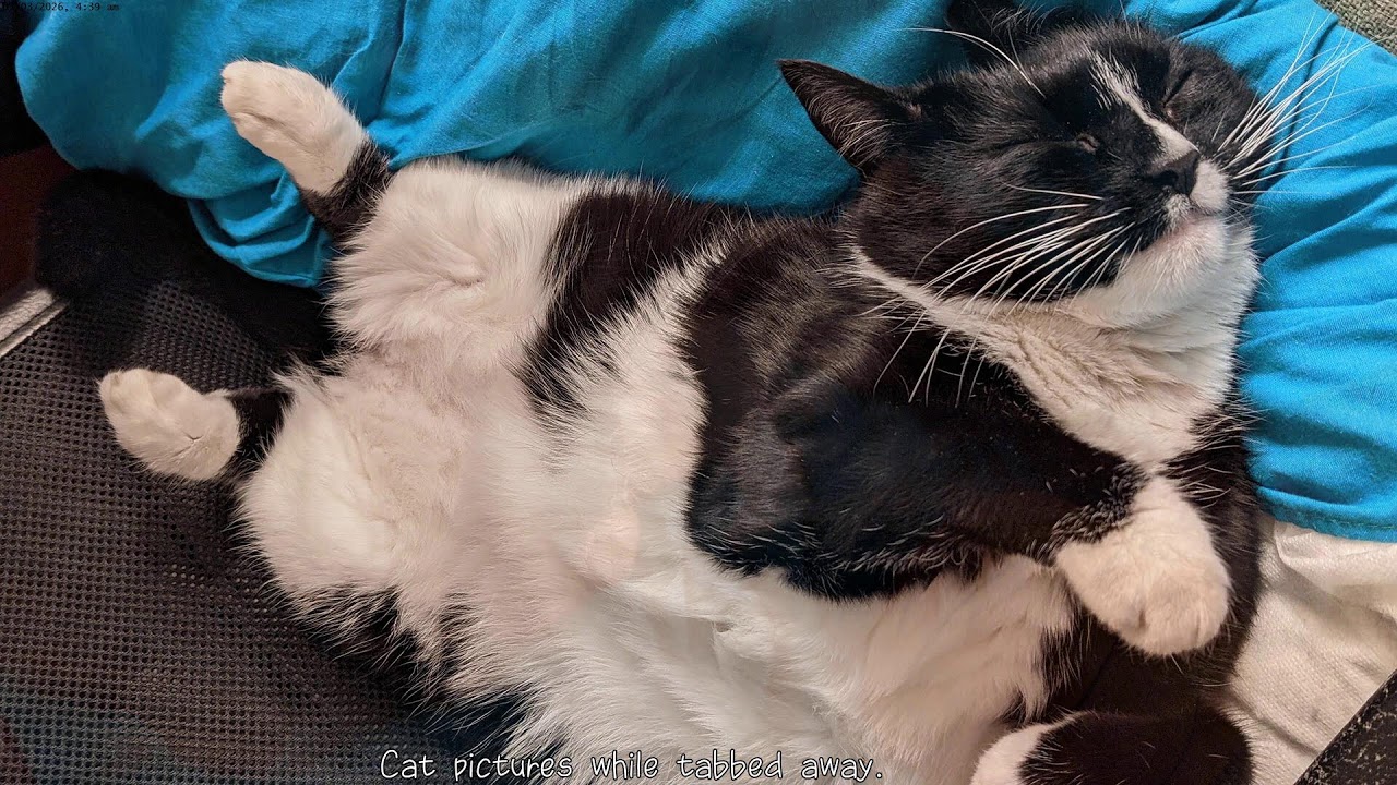 Kerbal Space Adventures.