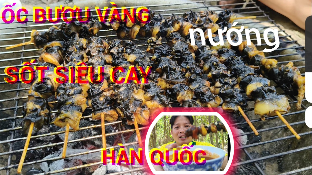 Về bình thuận bắt ốc bươu vàng nướng sốt siêu cay hàn Quốc