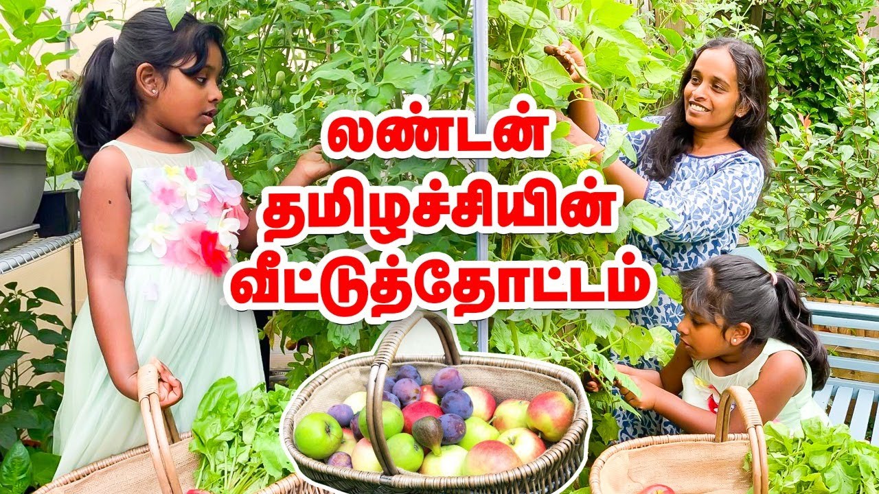 'லண்டனில் வீட்டுத்தோட்டம்' - அசத்தும் தமிழச்சி #London #HomeGarden