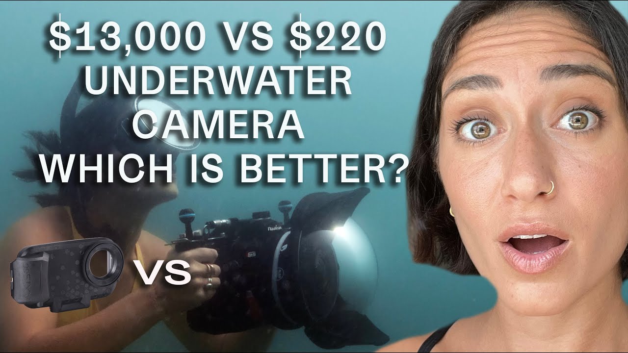 Underwater Photography on a Budget--Axis Go w/ iPhone vs. Canon R5