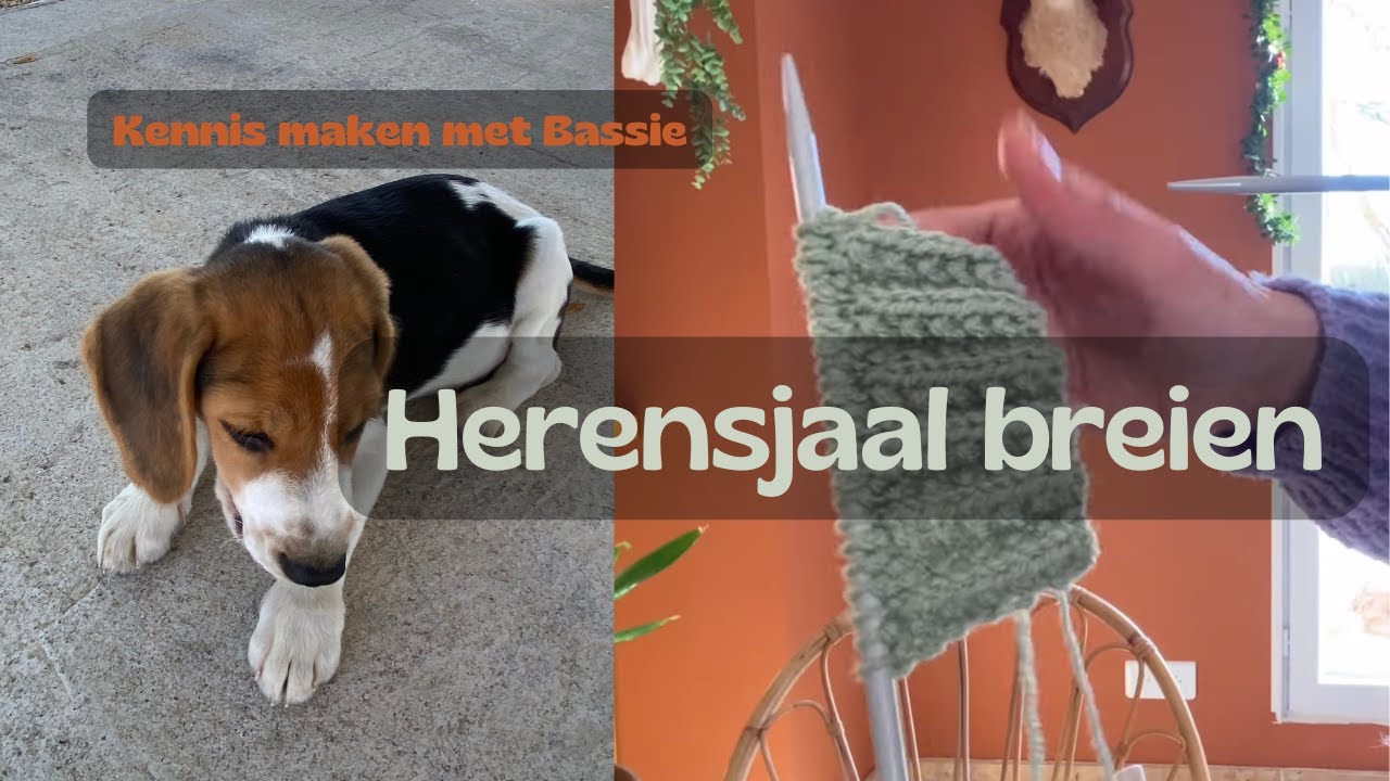 #101 BREIEN AAN EEN HERENSJAAL 🧶