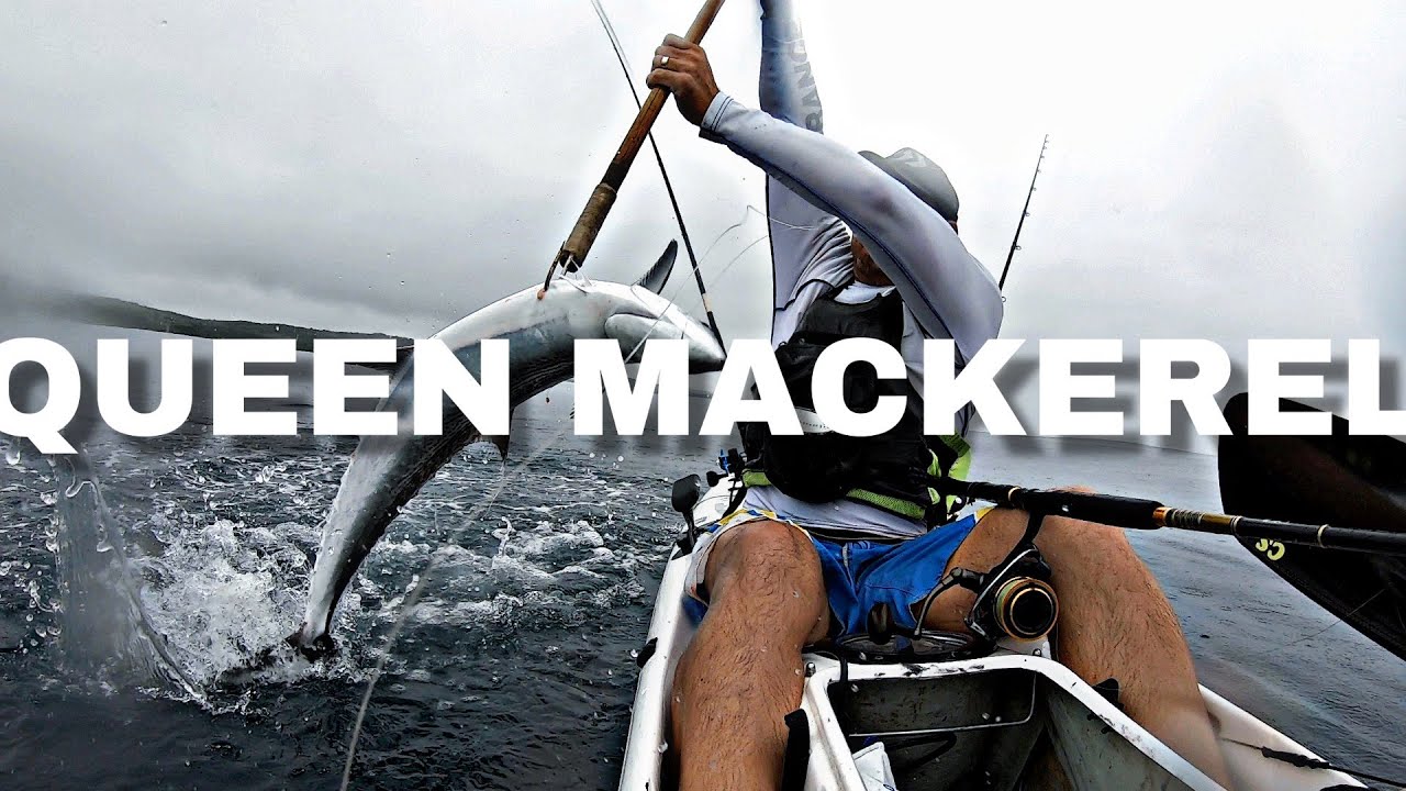 Queen Mackerel | Kayak Fishing | KZN