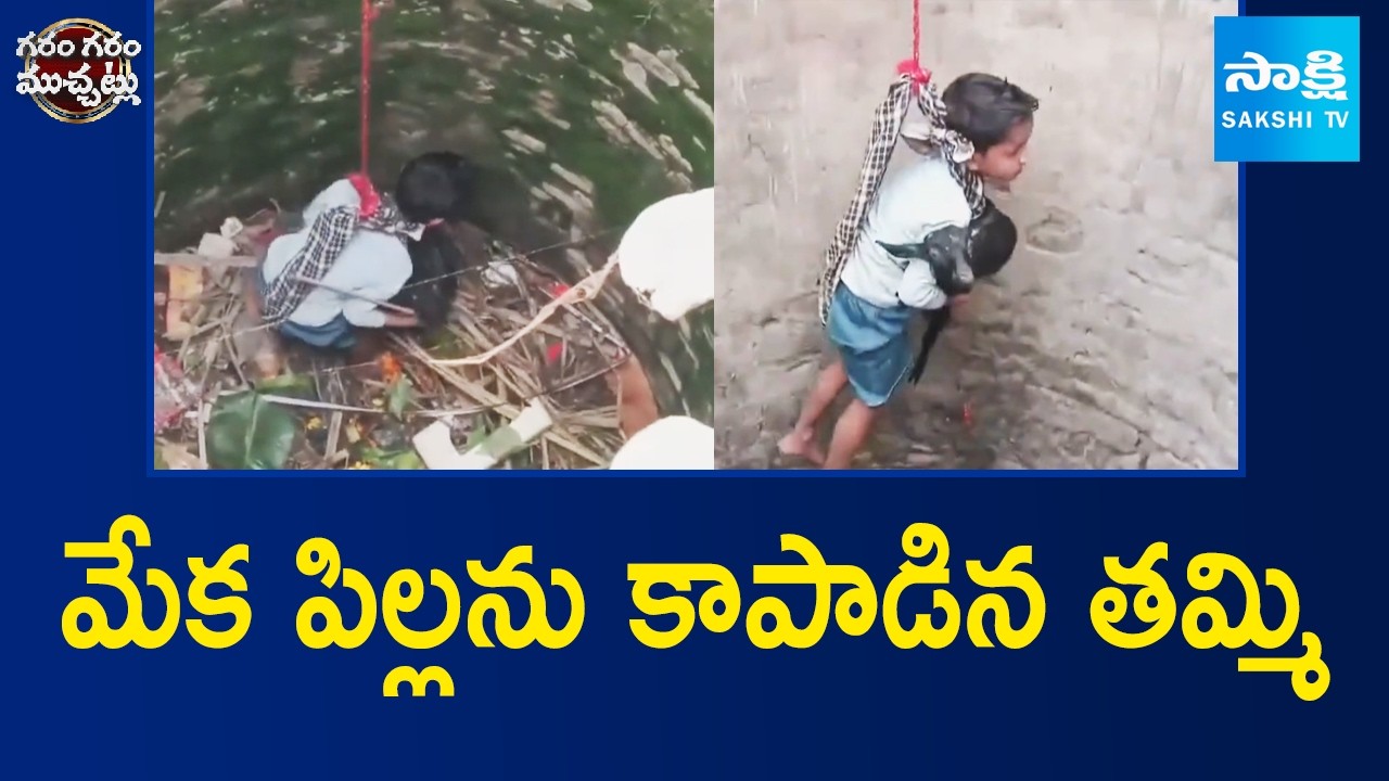 మేక పిల్లను కాపాడిన తమ్మి | Young Boy Saved Baby Goat in Bihar | Garam Garam Varthalu | Sakshi TV