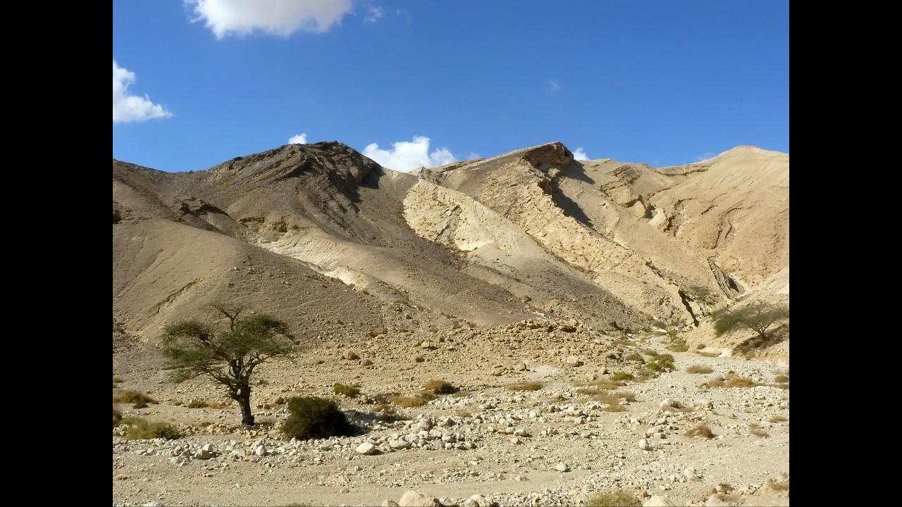 In the Desert: Reigniting my Passion for Christ
