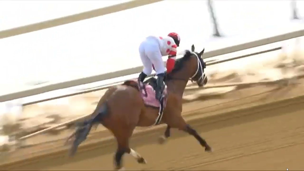 Aqueduct, Race 1  | 06 Feb 2026