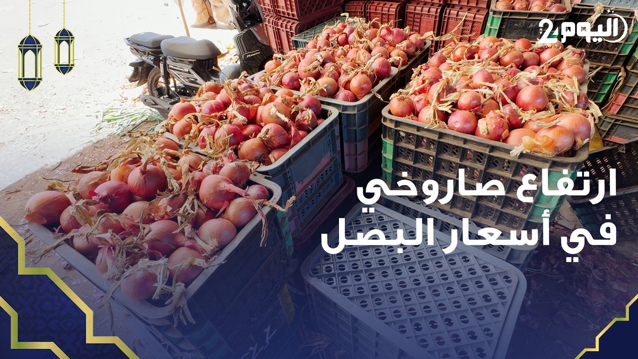 مراكش .. بعد وصوله إلى 16 درهمًا للكيلوغرام.. تجار يشرحون أسباب الارتفاع 