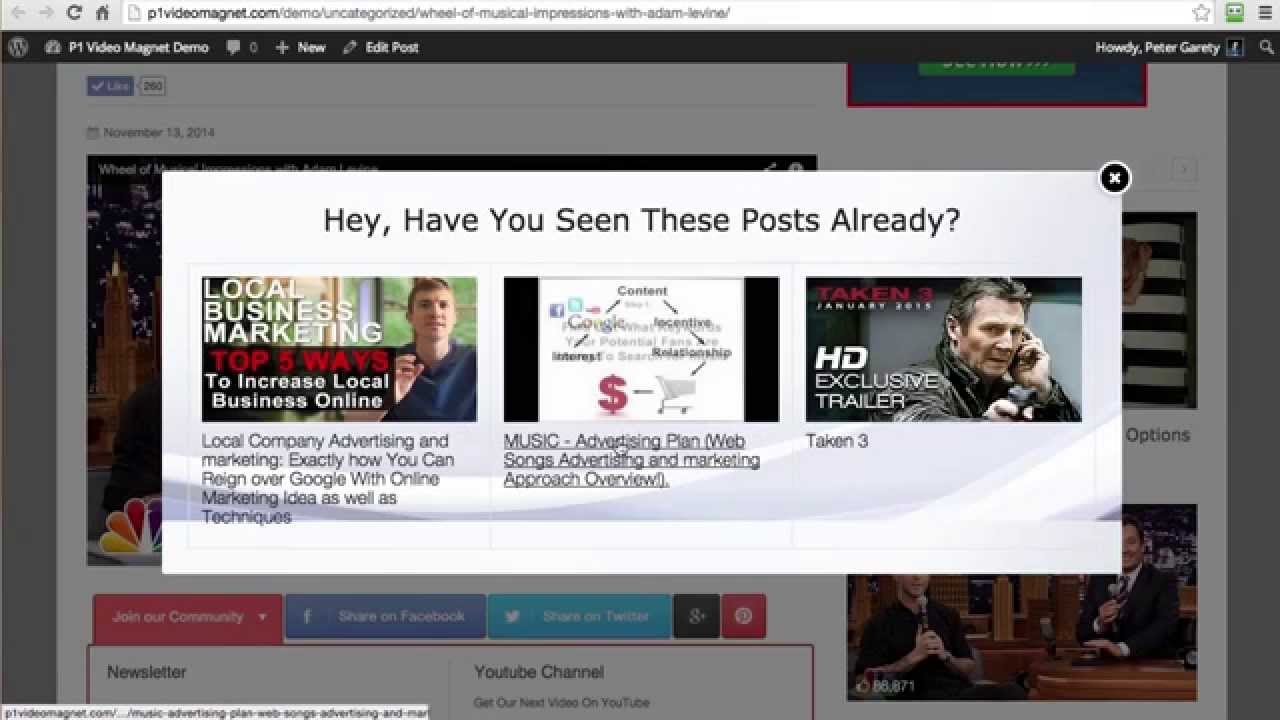 P1 Video Magnet Review and HUGE Bonus