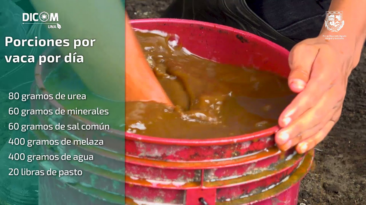 Aprende a elaborar suplementos nutricionales para tu ganado