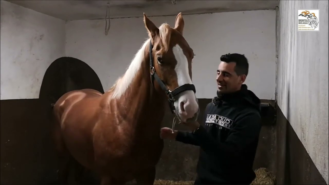 Scuderia Andrea Coghe BrontoloWebTV Marzo 2023