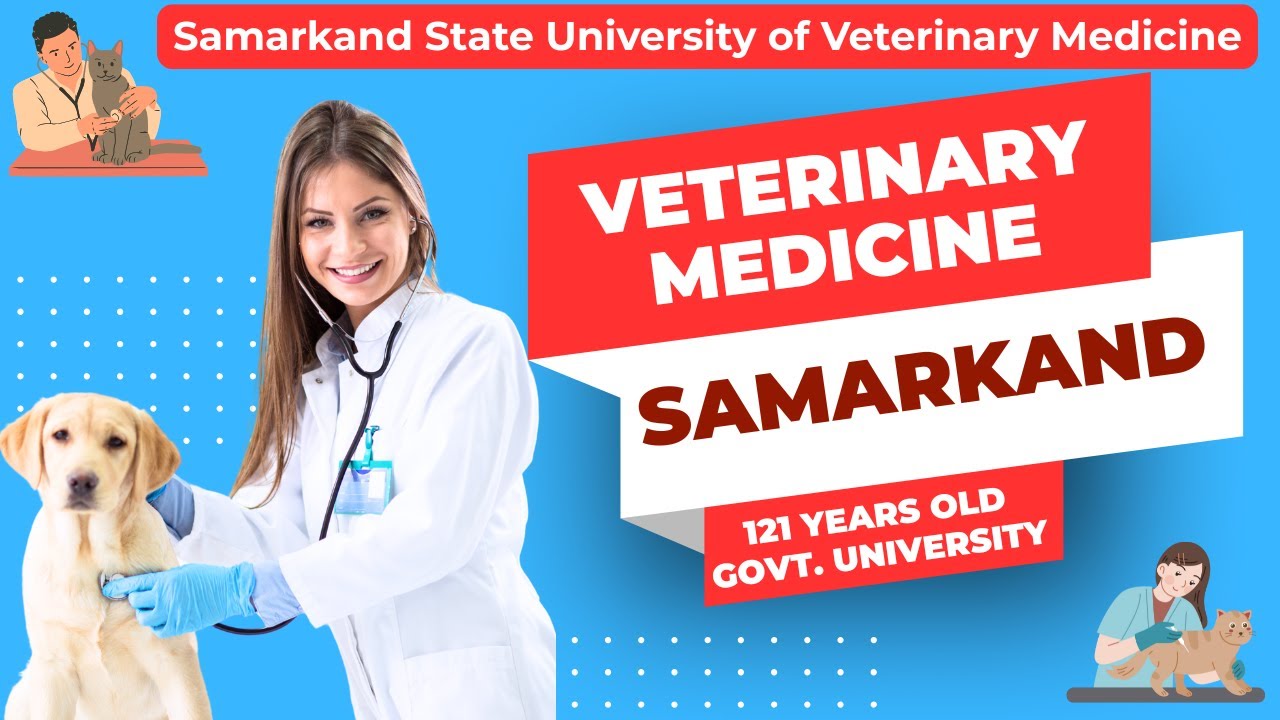 Best MBBS Alternative? Why Students Are Choosing Veterinary Medicine in 2025