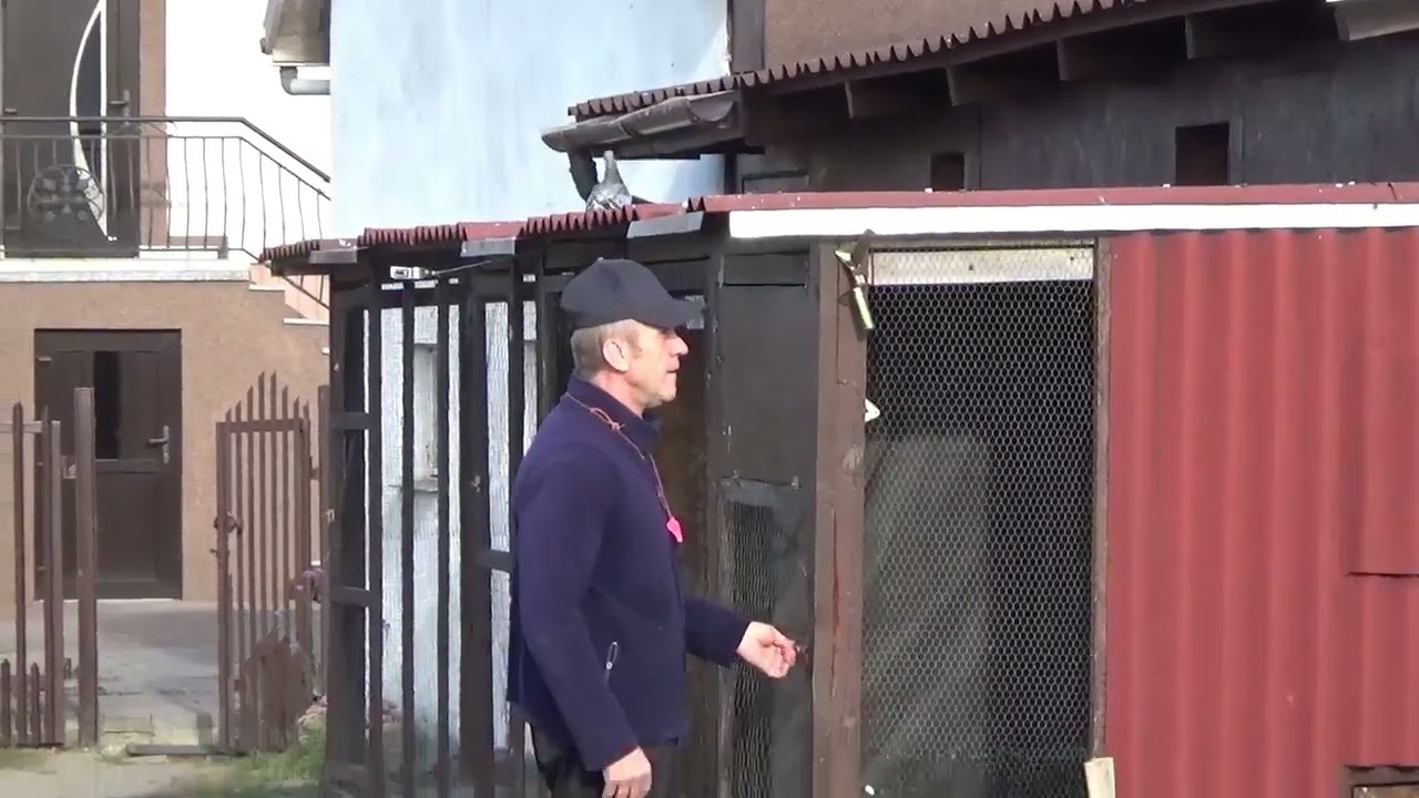 Postęp.....