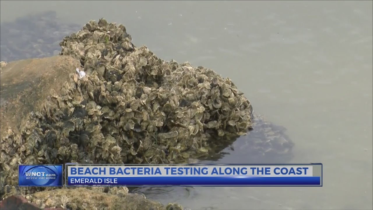 Beach bacteria testing along the coast