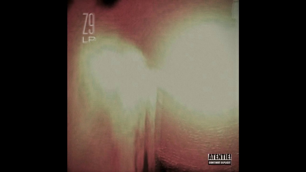 5. Zona 9 - Joc de glezne