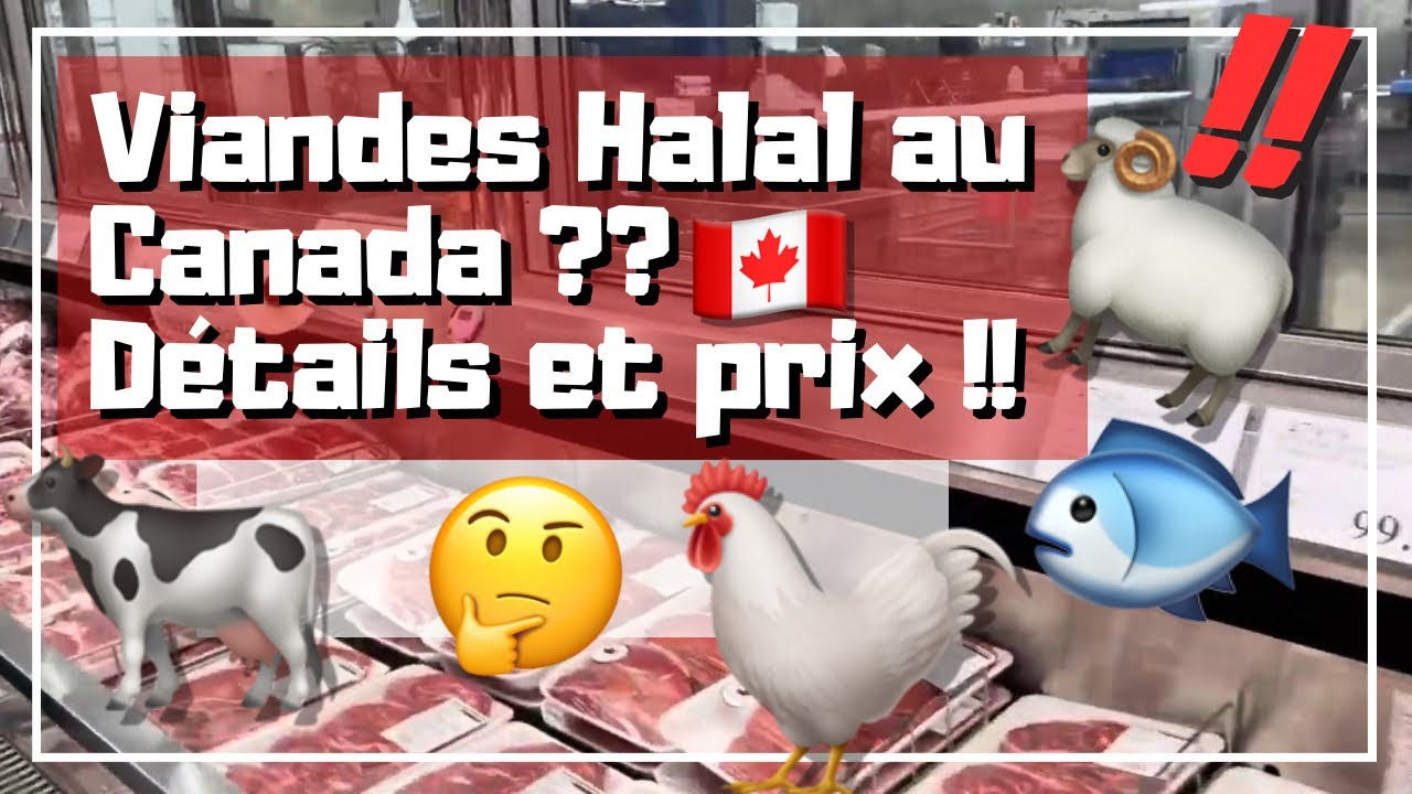 من أين أشتري مختلف اللحوم حلال في كندا 🇨🇦 الأثمنة بالتفصيل !! 💵 مشترياتي من كوستكو 🛒