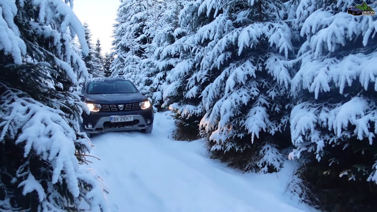 Dacia Duster 4x4 Winter Forest Offroad