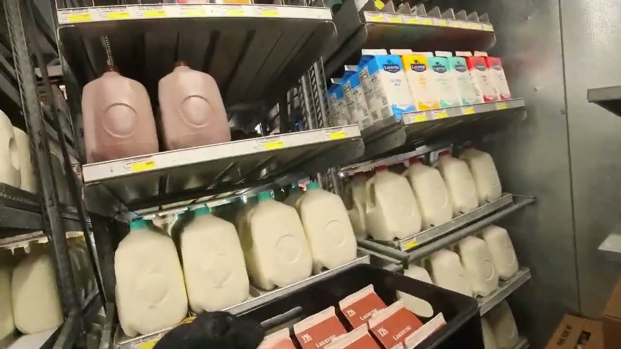 Your 34°F Friend 😉 | Dairy Manager Vol.55 | Insta 360 GO 3 S | RGT Moto