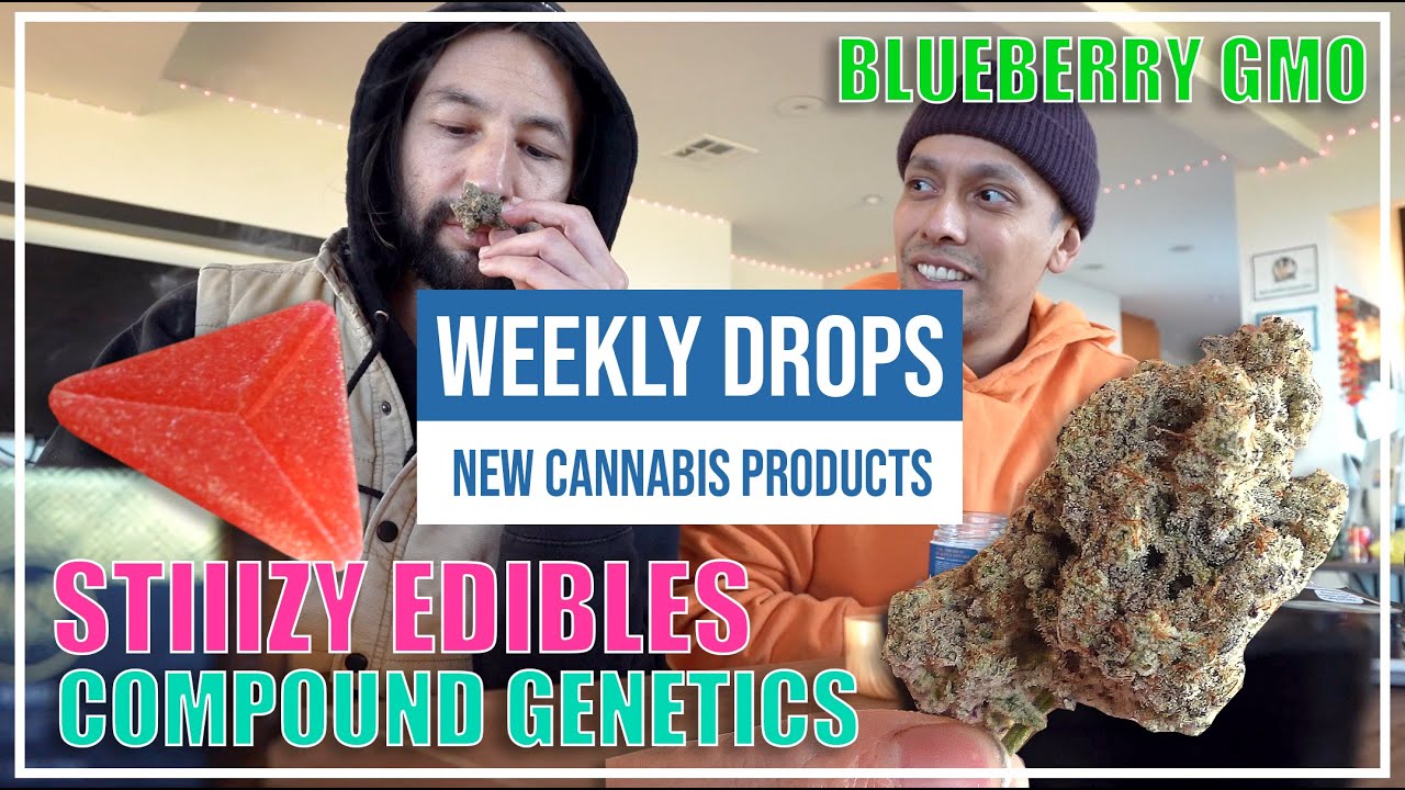 STIIIZY EDIBLES, COMPOUND GENETICS, EMBER VALLEY, MAVEN GENETICS, HEIGHTS CANNABIS AND MORE!