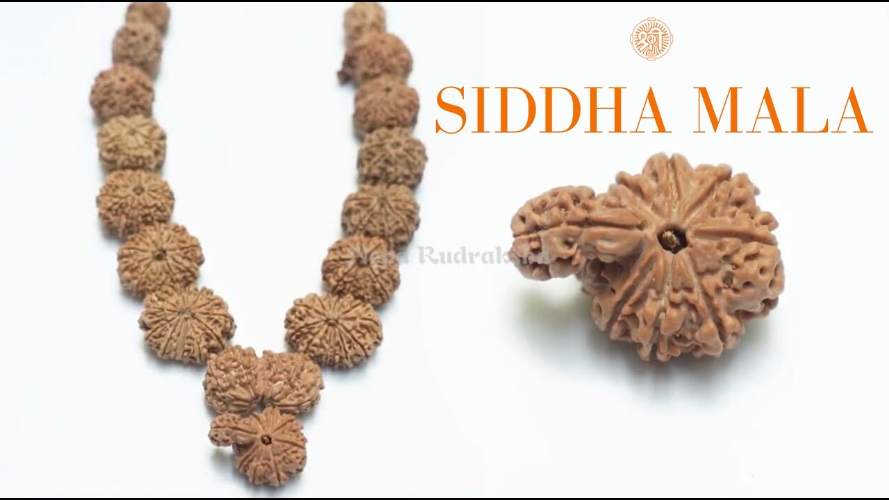 Uncover World's Most Powerful Rudraksha Mala | Ultimate Siddha Mala Guide #siddhamala