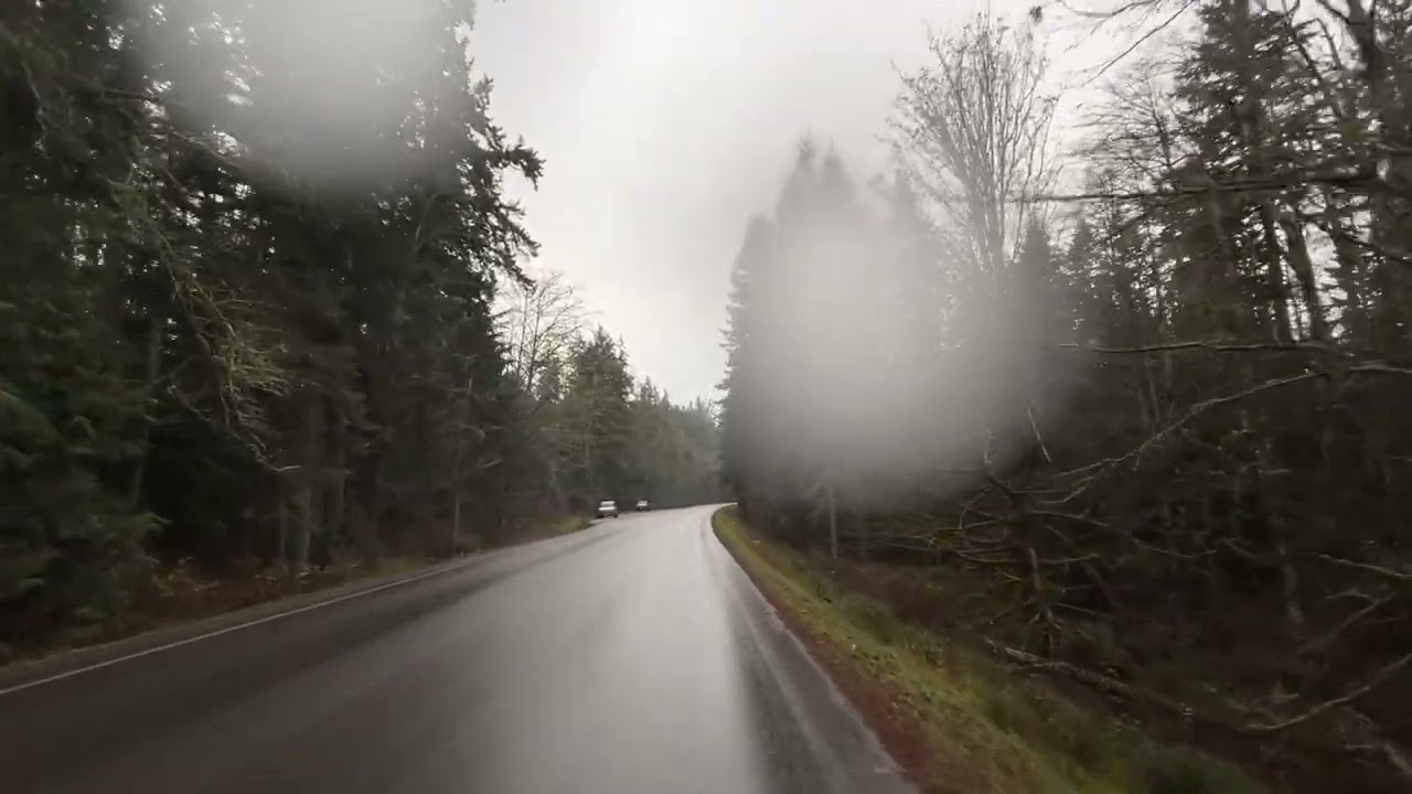 iScooter IX4 from Olympic National Park to Port Angeles 🌲🌧️⚡
