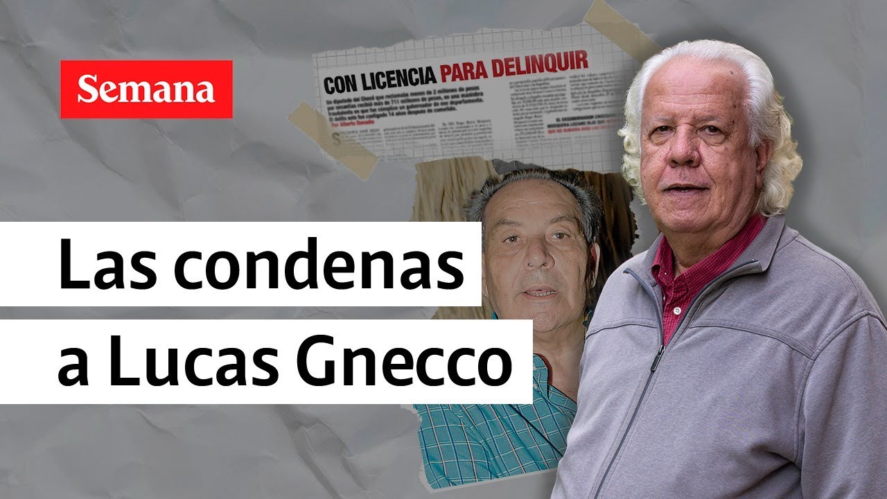 Estas fueron las cuatro condenas contra Lucas Segundo Gnecco Cerchar